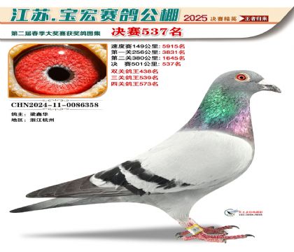 寶宏春棚決賽537名
