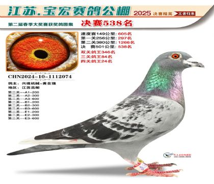 寶宏春棚決賽538名