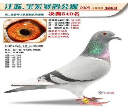寶宏春棚決賽540名