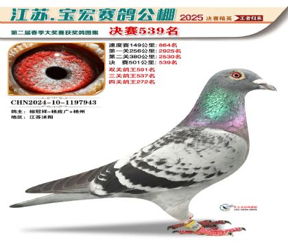 寶宏春棚決賽539名