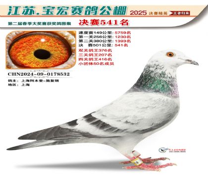 寶宏春棚決賽541名