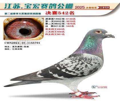 寶宏春棚決賽542名