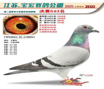 寶宏春棚決賽543名