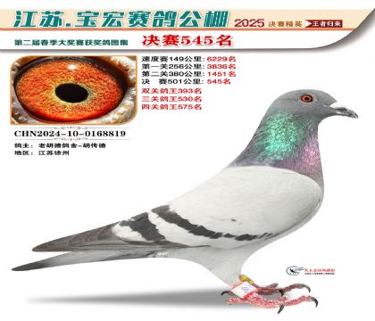 寶宏春棚決賽545名