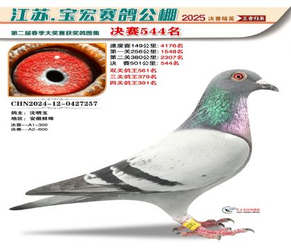 寶宏春棚決賽544名