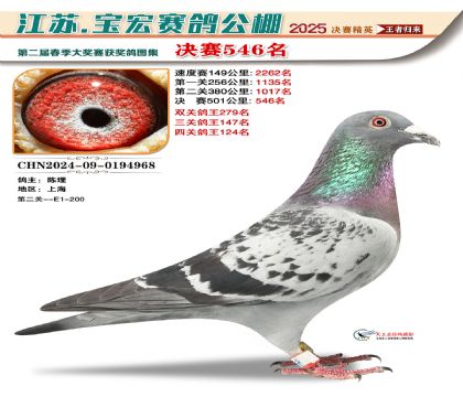 寶宏春棚決賽546名