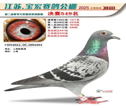 寶宏春棚決賽549名