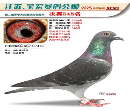 寶宏春棚決賽548名