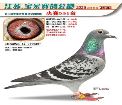 寶宏春棚決賽551名