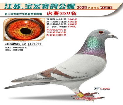 寶宏春棚決賽550名