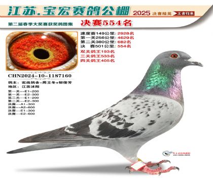 寶宏春棚決賽554名