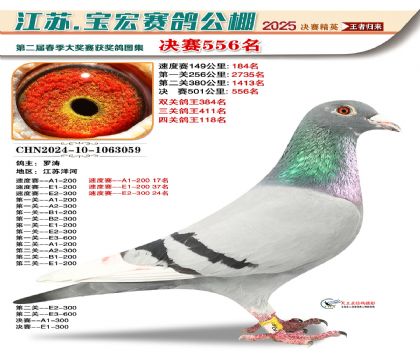 寶宏春棚決賽556名