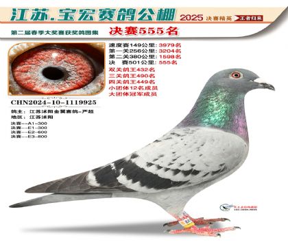 寶宏春棚決賽555名