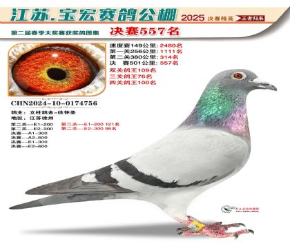 寶宏春棚決賽557名