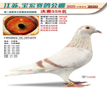 寶宏春棚決賽558名