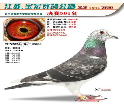 寶宏春棚決賽561名