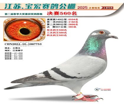 寶宏春棚決賽560名