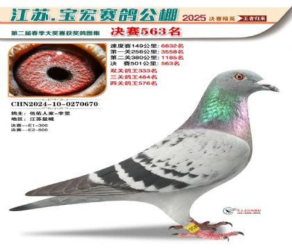 寶宏春棚決賽563名