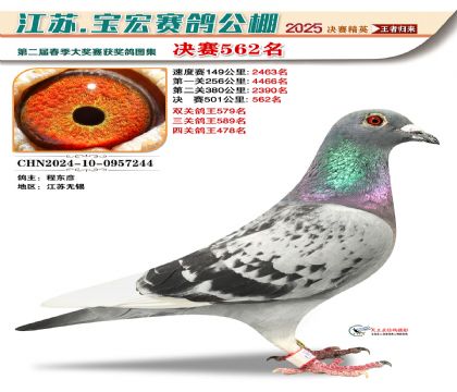 寶宏春棚決賽562名