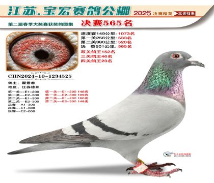 寶宏春棚決賽565名