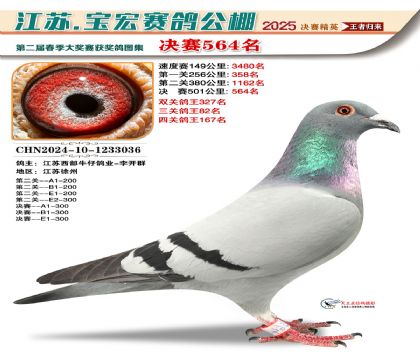 寶宏春棚決賽564名