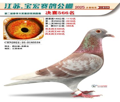 寶宏春棚決賽566名