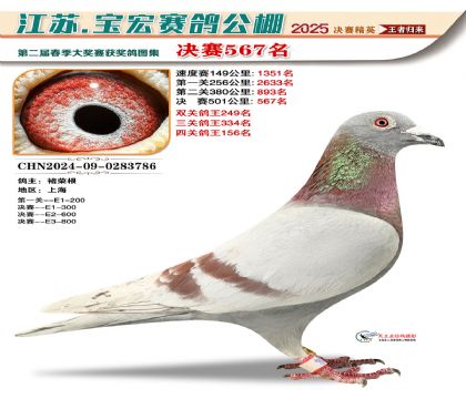 寶宏春棚決賽567名
