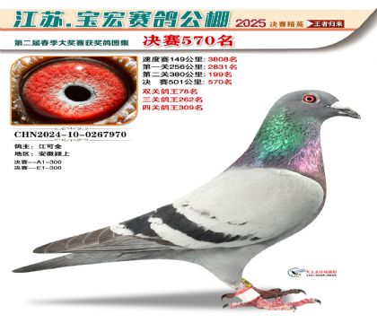 寶宏春棚決賽570名