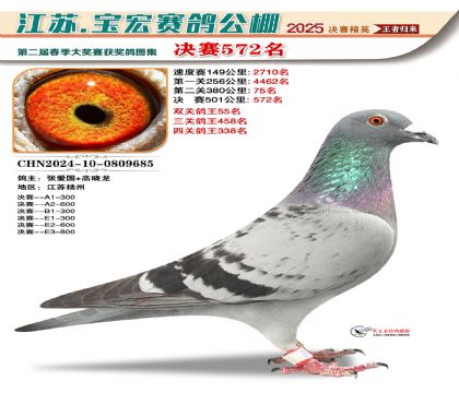 寶宏春棚決賽572名