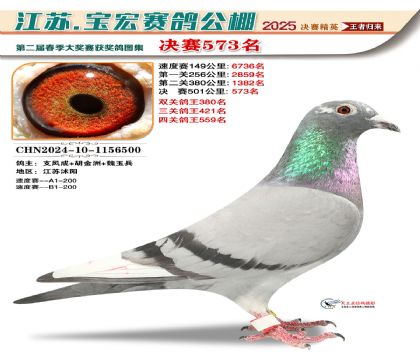 寶宏春棚決賽573名