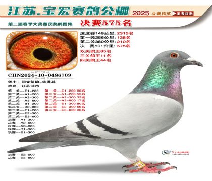 寶宏春棚決賽575名