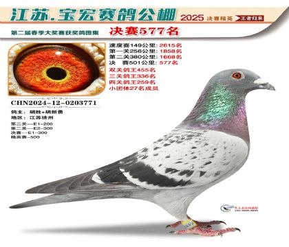 寶宏春棚決賽577名