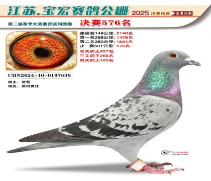 寶宏春棚決賽576名