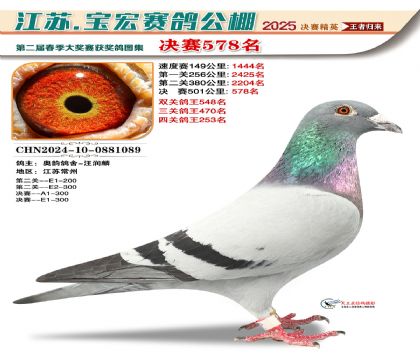 寶宏春棚決賽578名