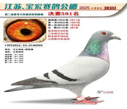 寶宏春棚決賽581名