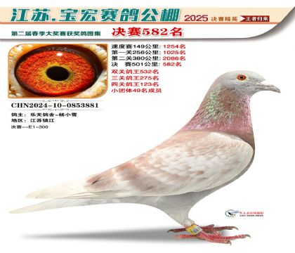 寶宏春棚決賽582名