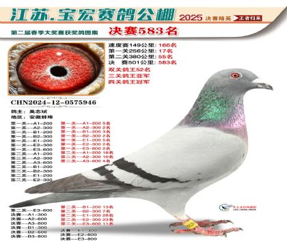寶宏春棚決賽583名