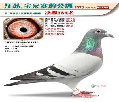 寶宏春棚決賽584名