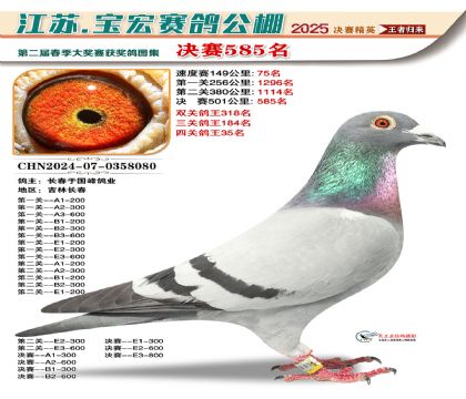 寶宏春棚決賽585名