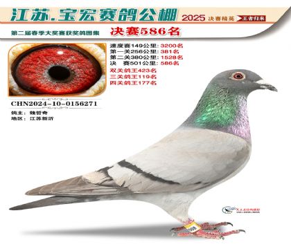 寶宏春棚決賽586名