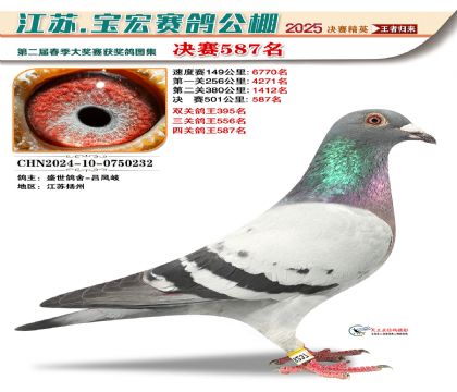 寶宏春棚決賽587名