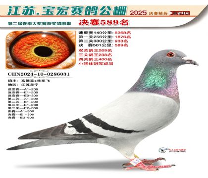 寶宏春棚決賽589名