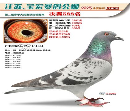 寶宏春棚決賽588名