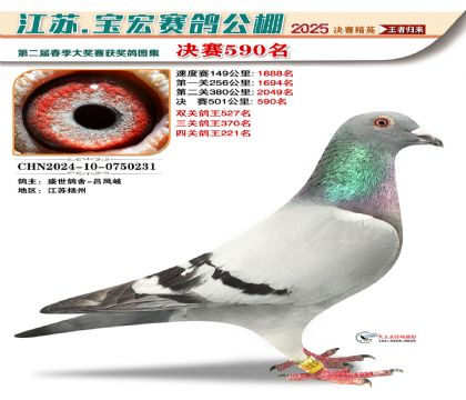 寶宏春棚決賽590名