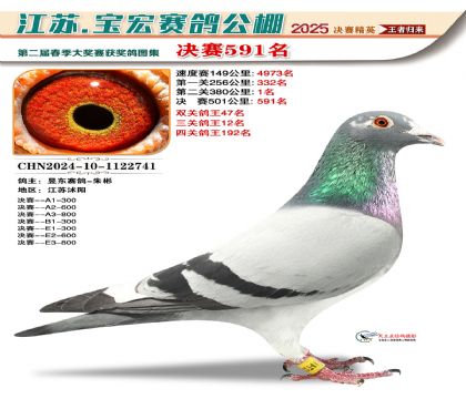 寶宏春棚決賽591名