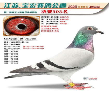寶宏春棚決賽593名