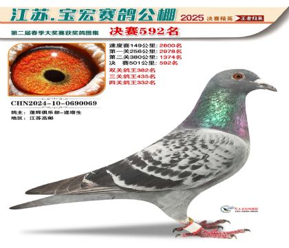 寶宏春棚決賽592名