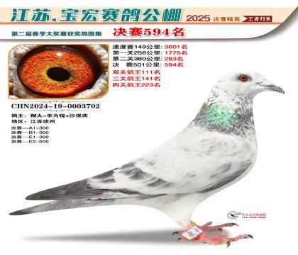 寶宏春棚決賽594名