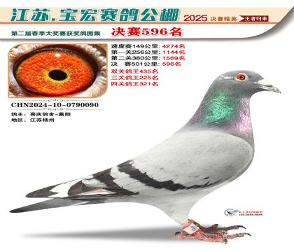 寶宏春棚決賽596名