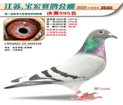 寶宏春棚決賽595名